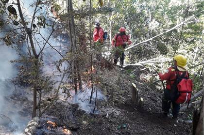 Máquinas viales tratarán de combatir el foco principal del incendio 