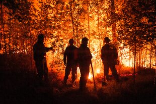Incendio en Kyuyorelyakh en el área de Gorny Ulus, Yakutia