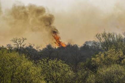 Incendio en la provincia de Córdoba en el Valle de Punilla, Cuchi Corral
