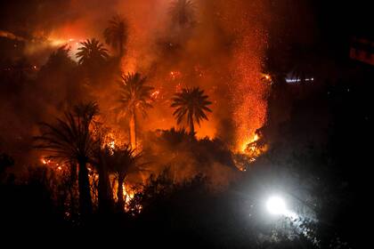 Un incendio forestal afecta los cerros de Viña del Mar, donde se ubican cientos de viviendas, en la Región de Valparaíso