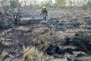 Incendio enel Parque Ecológico "El Doradillo"