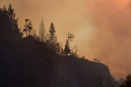 Incendio forestal en El Bolsón