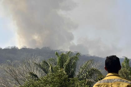Incendio forestal en Santa Cruz, Bolivia