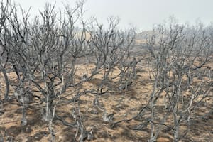 El fuego en Chubut llegó al campo de un reconocido dirigente rural