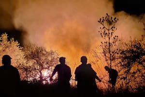 Incendios en Corrientes, impericia manifiesta del gobierno nacional
