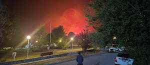 Cómo colaborar con las familias afectadas y con los brigadistas que trabajan en la zona