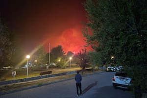 Cómo colaborar con las familias afectadas y con los brigadistas que trabajan en la zona