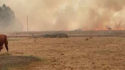 Incendios en Corrientes