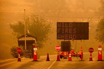 Incendios en California. El efecto del cambio climático y los problemas medioambientales son un problema compartido 