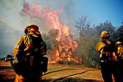 Las autoridades ya comunicaron que se trata del incidente forestal más mortífero en la historia del estado