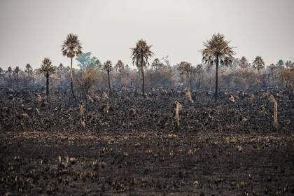 Incendios en campos, sobre ruta 5, cercanos a la ciudad de Corrientes