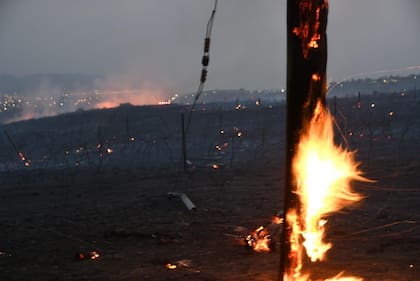 Postes quemados, cables caídos, quinchos destruídos en Villa Carlos Paz