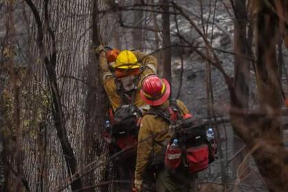 Son 49 los brigadistas del Splif que continúan hoy con los trabajos en el terreno