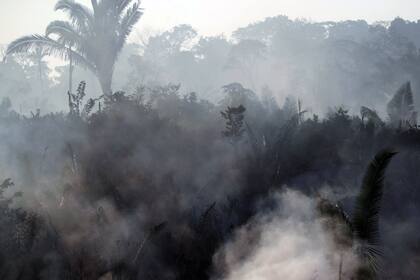 La emergencia trasciende las fronteras de Brasil pues los efectos de los incendios se extendieron hoy a Perú, mientras Bolivia, que también los padece, anuncia medidas para enfrentarlos