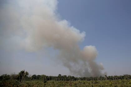 Crece la preocupación por la política ambiental del actual presidente derechista Jair Bolsonaro sobre ese territorio, que fomenta la agricultura