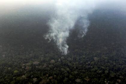 Actualmente hay fuegos activos en varios lugares de la selva que se extiende por el norte de Brasil