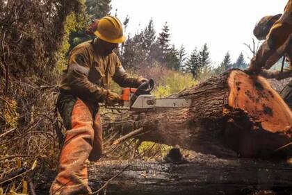 Miembros del Servicio de Prevención y Lucha contra Incendios Forestales trabajan en la zona