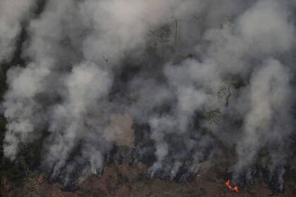 La mayor parte de los incendios forestales (52,6%) actuales han ocurrido en la Amazonia, especialmente en los estados de Mato Grosso, Pará y Amazonas. 