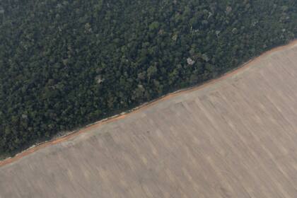 El ministro de Medio Ambiente de Brasil, Ricardo Salles, volvió a defender ayer las políticas del Gobierno en el combate a la deforestación de la Amazonía, pero se encontró de frente con las críticas y abucheos de decenas de personas durante la Semana del Clima de América latina.