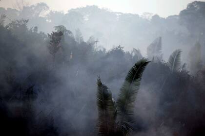 El presidente Jair Bolsonaro insinuó que las ONG que defienden el medio ambiente podrían haber provocado los focos de fuego para dañar la imagen de su gestión.