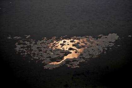 Frente a los números del INPE sobre deforestación, el presidente ya protagonizó el mes pasado un duro debate con el órgano oficial; alegó que las cifras habían sido exageradas con motivos políticos y al final despidió al director del organismo.