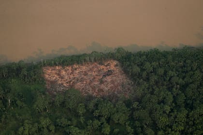 Para grupos ambientalistas internacionales, como Greenpeace y World Wide Fund for Nature, así como para ONG locales, la mayor deforestación es resultado del impulso que ha dado el gobierno de Bolsonaro a la explotación de recursos naturales -minería, tala y ganadería- en áreas protegidas.
