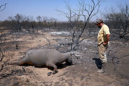Incendios en el límite de la provincia de Buenos Aires y La Pampa. 6/1/17