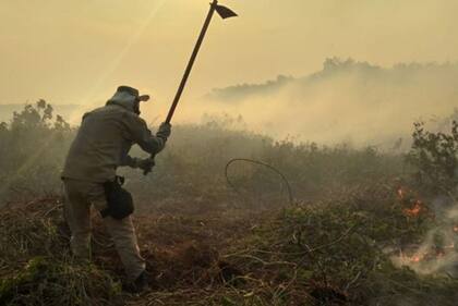 Incendios en el Pantanal de Brasil