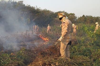 Incendios en el Pantanal de Brasil