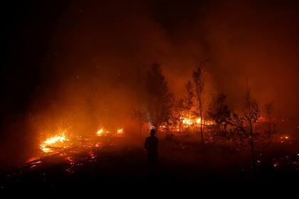 Incendios en el Parque Nacional Palangka Raya