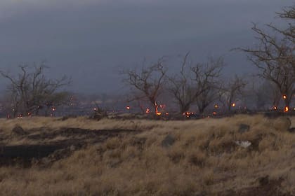 Miles de residentes corrieron para escapar de sus hogares en Maui mientras las llamas arrasaban la isla