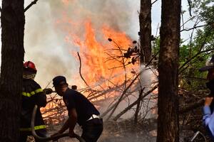Los incendios llegaron a los Esteros del Iberá y  amenazan su amplia biodiversidad