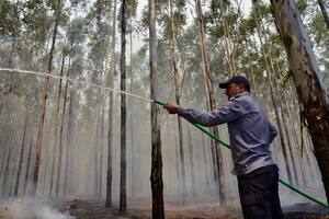 Quince focos de incendio azotan a la provincia de Corrientes