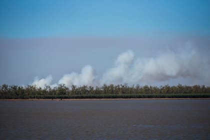 Los incendios en las islas del Paraná destruyeron casi tres veces la superficie de la Ciudad de Buenos Aires