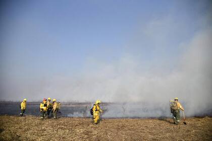 Incendios en las islas del Delta del Paraná