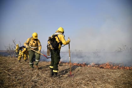 Incendios en las islas del Delta del Paraná