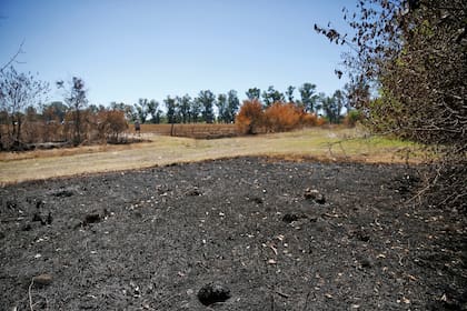 Vecinos del partido de Merlo, denuncian subas de ABL, lo que producen en sus campos no alcanza para pagar los impuestos