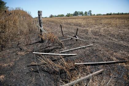 Vecinos del partido de Merlo, denuncian subas de ABL, lo que producen en sus campos no alcanza para pagar los impuestos