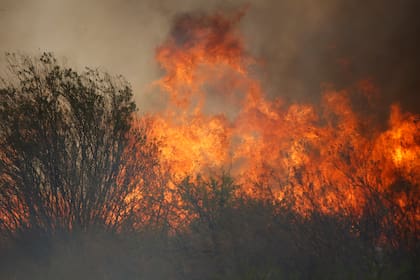 Incendios en Playas de Oro, Punilla, en la provincia de Córdoba