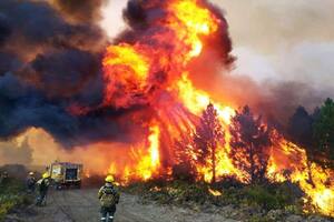 Incendios en Quillén, Neuquén
