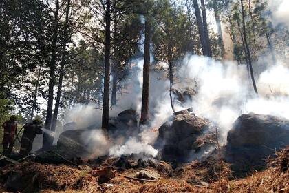 Villa Berna es zona de pinares en Calamuchita.