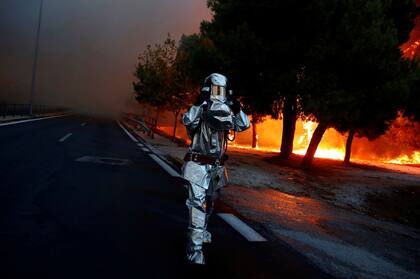 Incendio forestal en Grecia: aumentan a 79 los muertos mientras buscan desaparecidos entre las cenizas