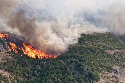 Incendios forestales en Cholila, el 22 de enero de 2026