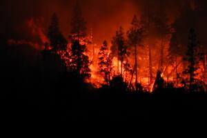 Declaran la emergencia ígnea en medio de la ola de calor y los incendios en la Patagonia