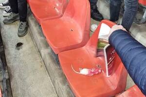 Una hinchada de fútbol arrojó ratas muertas hacia la tribuna del equipo rival