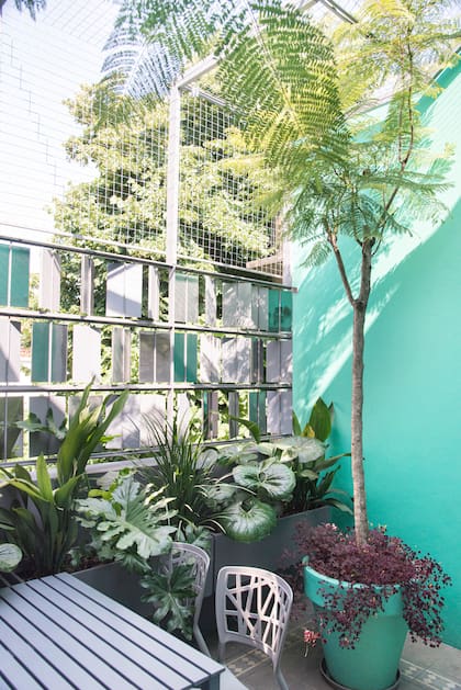 Incluso un rincón pequeño puede expresar una idea clara de paisaje