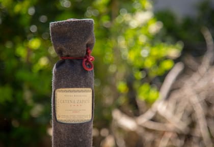 Inconfundible botella del Catena Zapata Estiba Reservada