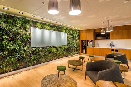 Incorporar plantas genera sensación de confort y emociones agradables en los empleados. (Proyecto: Nestlé HQ Quito, realizado por Jasper Architects)