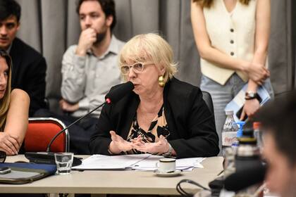 “Incurre en algunas cuestiones que serían realmente complicadas para evaluar la constitucionalidad de la norma. Lo que no vamos a hacer es avanzar en cuestiones que puedan lesionar otros derechos", planteó Giudici para defender el dictamen que impulsó el Pro