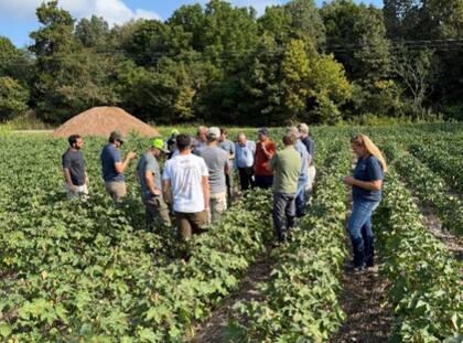 Independientemente de las diferencias en la macroeconomía, estabilidad de reglas de juego, infraestructura y el marco general de negocios, la “política agrícola” americana, que se renueva cada cinco años en el Congreso, define reglas de juego